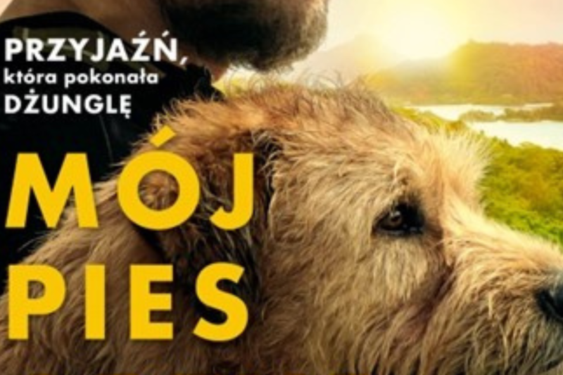 Wydarzenie: Kino: Mój Pies Artur - Napisy, Kiedy? 2024-04-30 18:00, Gdzie? ul. Fryderyka Chopina 34 Pruszcz Gdański Polska